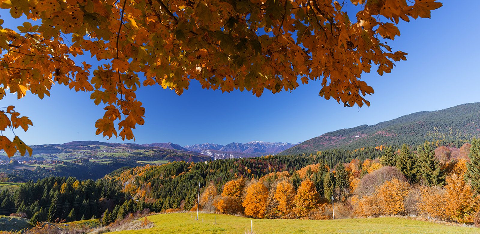 Dal cuore di Asiago, 150 anni di passione e tradizione